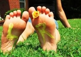 Pés sem fungo com uma flor entre os dedos