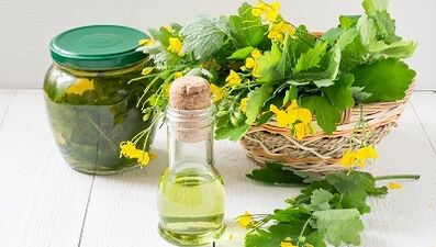 Decocção da Celandine para o tratamento do fungo das unhas
