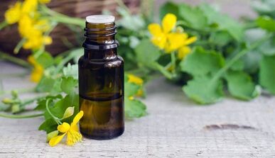 Juice Celandine para o tratamento do fungo das unhas